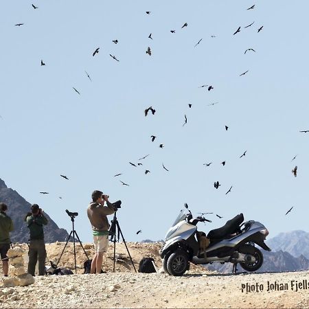 The Birdwatchers Nest Be'er Ora Exteriör bild